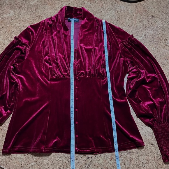 Scarlet Darkness Red Velvet Victorian Lantern Sleeve Button Down Blouse Sz 2XL - Picture 10 of 11